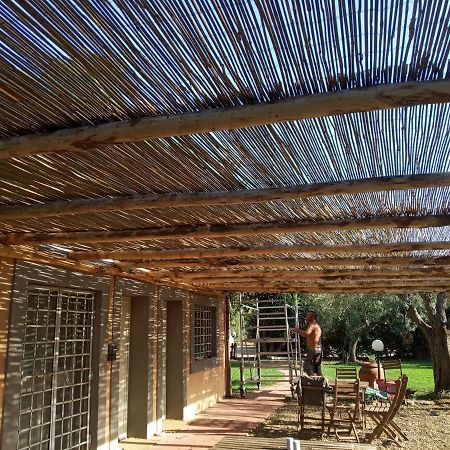 Borgo S.Maria Di Vulci Guest House มอนตัลโต ดิ กัสโตร ภายนอก รูปภาพ