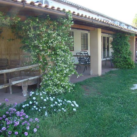 Borgo S.Maria Di Vulci Guest House มอนตัลโต ดิ กัสโตร ภายนอก รูปภาพ